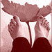 Pieds voluptueux et rouge floral lascif.  Voluptuous feet and lascivious floral -  Cadeau  /  Gift.