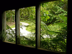 3 Bedgebury Pinetum Saw Mill Window
