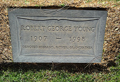 Robert Young (1999)