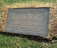 Robert Young (2001)