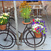 Vélo en fleurs- Flowery bike- Pédales ou pétales !  Pedals or petals ! - NYC. 19 juillet 2008