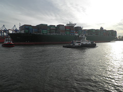 Containerschiff  THALASSA HELLAS