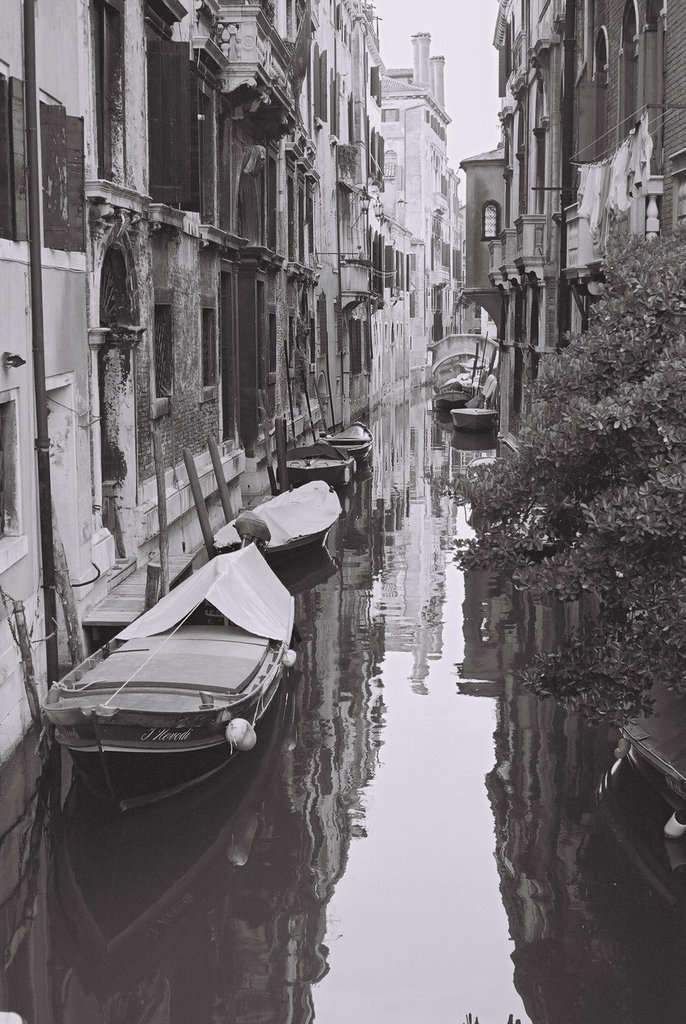 Venice 37