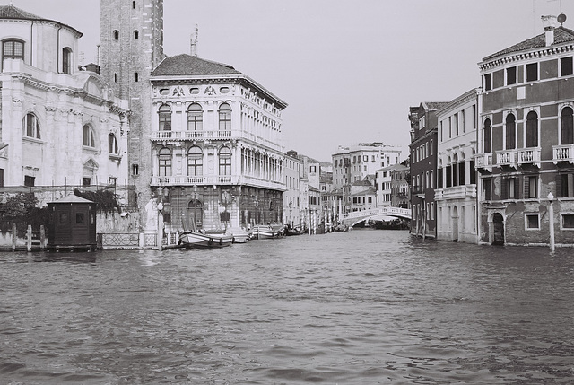 Venice 44
