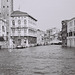 Venice 44