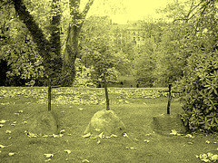 Helsingborg cemetery - Cimetière de Helsingborg-  Sweden / Suède - Croix modestes sur roche / Modest crosses on rocks / 22 octobre 2008 - À l'ancienne.