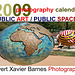 2009PhotographyCalendar.PublicArt.PublicSpaces