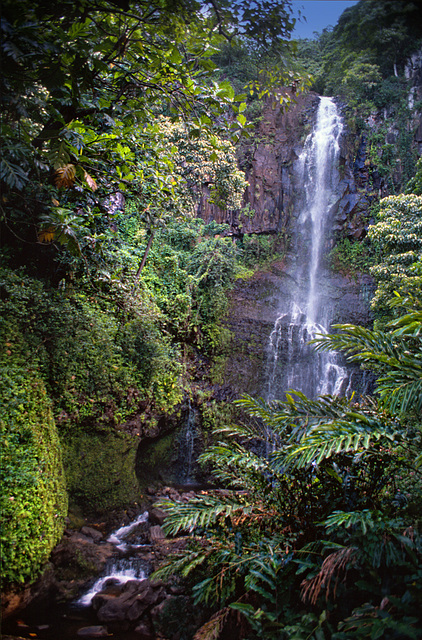 waterfall on Maui
