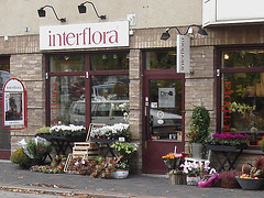 Boutique de fleurs Interflora / Interflora store  -  Helsingborg / Suède - Sweden.  22 octobre 2008