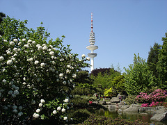 Japanischer Garten Hamburg