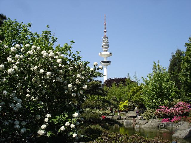 Japanischer Garten Hamburg
