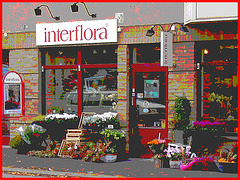 Boutique de fleurs Interflora / Interflora store  -  Helsingborg / Suède - Sweden.  22 octobre 2008-  Postérisée avec cadre rouge