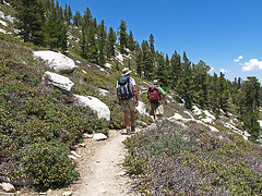 Trail to San Jacinto Peak (0466)