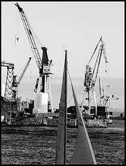 Cranes with sailboat