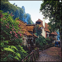 Madeira - typical old houses