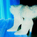 Elsa's friend fur high-heeled boots .  January 2009.   Effet de négatif