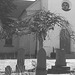 Cimetière et église / Cemetery & church - Ängelholm.  Suède / Sweden.  23 octobre 2008- B & W