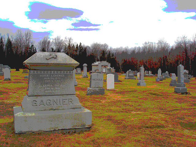 Immaculate heart of Mary cemetery - Churubusco. NY. USA.  March  29th 2009 - Gagnier et Nichols.   Postérisée