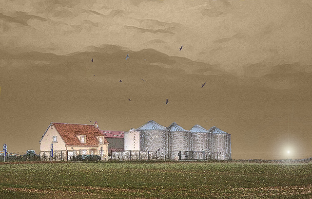 reve agricole reve agricole