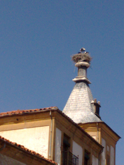 Soria: cigüeñas. Soria: cigüeñas.