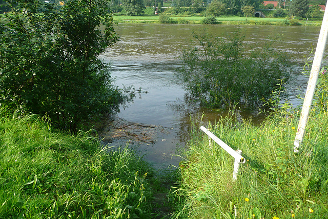 Hochwasser - Elbe 1. Juli 2009