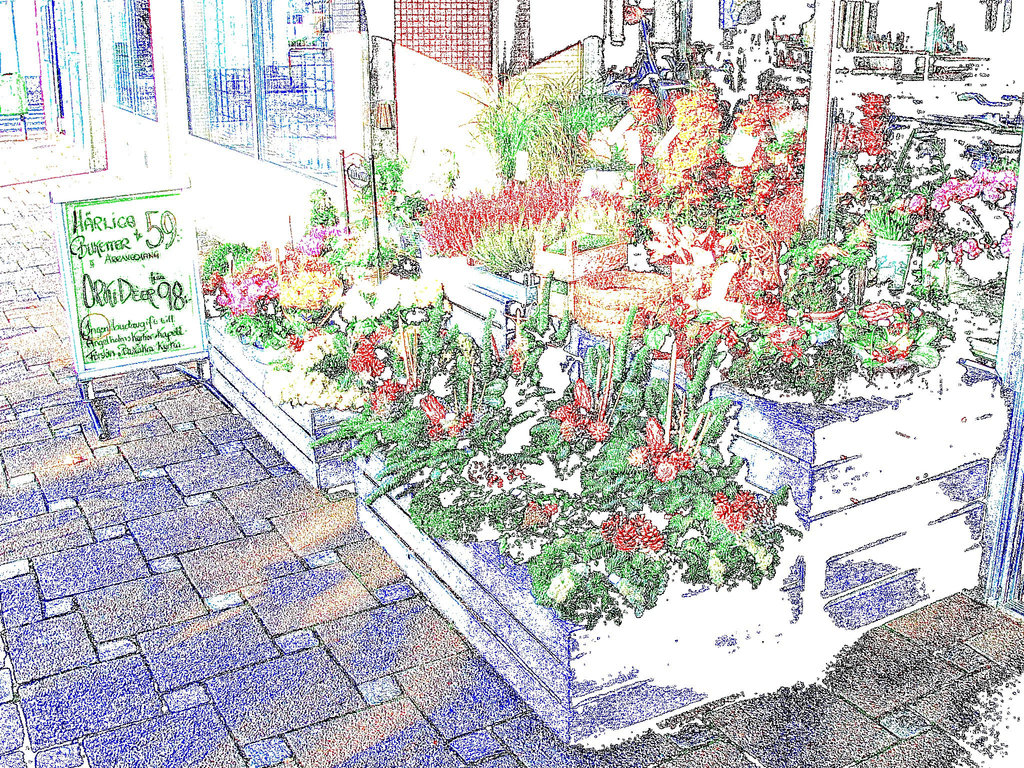 Étalage de plantes et fleurs à la suédoise /  Härliga buketter ortideer flowers sidewalk display -  Ängleholm / Suède- Sweden - 23 0ctobre 2008- Contours de couleurs / Colourful outlines
