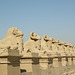 Sphingenallee in Karnak