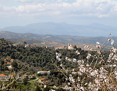 Frühling auf Kreta