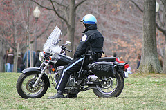 03.USPP.ConstitutionGardens.WDC.21March2009