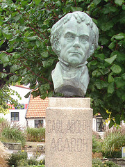 La tête de Carl !  Carl Adolph Agardh head statue- Båstad.  Suède - Sweden.   21-10-2008