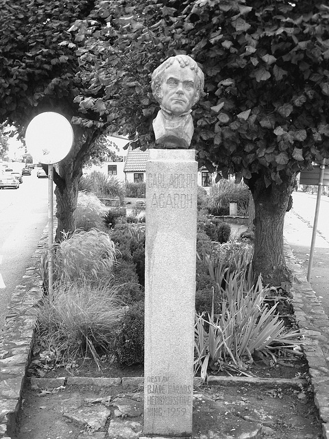 La tête de Carl !  Carl Adolph Agardh head statue- Båstad.  Suède - Sweden.   21-10-2008 - N & B.