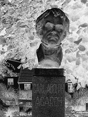 La tête de Carl !  Carl Adolph Agardh head statue- Båstad.  Suède - Sweden.   21-10-2008 -  Négatif en N & B