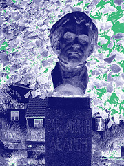 La tête de Carl !  Carl Adolph Agardh head statue- Båstad.  Suède - Sweden.   21-10-2008 -Négatif et touche de vert