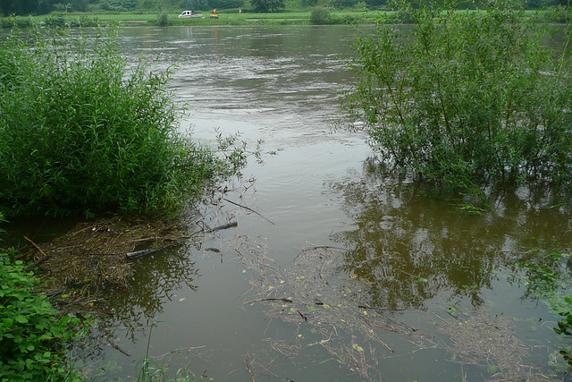 Hochwasser - Elbe 30. Juni 2009