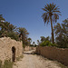 Palmyra (Tadmor)