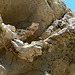 Above Termite Holes (4065)