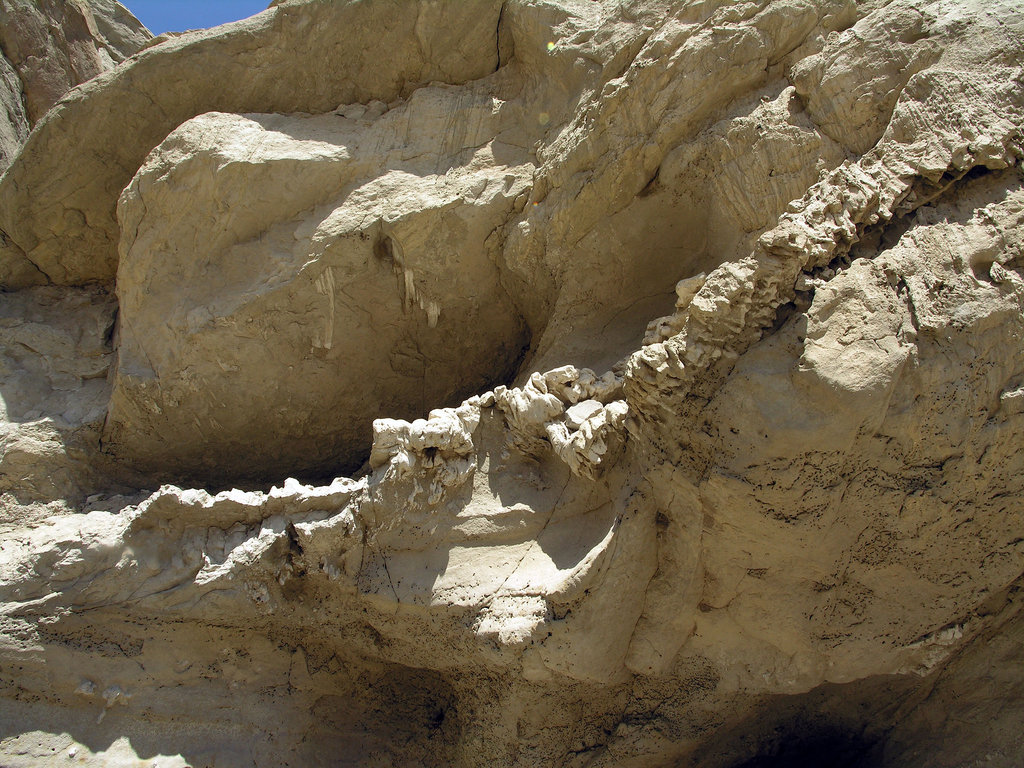 Above Termite Holes (8326)