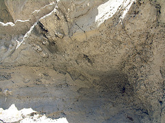 Termite Holes (8324)