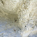Termite Holes (8325)