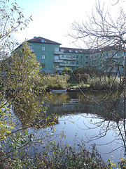 Canards et chaloupe sur la rivière  / Ducks & rowboat by the river  -  Ängelholm / Suède - Sweden.   23 octobre 2008