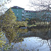 Canards et chaloupe sur la rivière  / Ducks & rowboat by the river  -  Ängelholm / Suède - Sweden.   23 octobre 2008