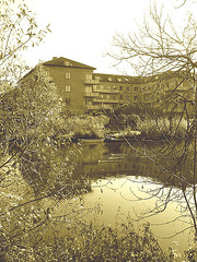 Canards et chaloupe sur la rivière  / Ducks & rowboat by the river  -  Ängelholm / Suède - Sweden.   23 octobre 2008- Sepia