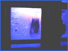 Fenêtre de ma chambre / Room's window - 7-02-2009- Couleurs ravivées