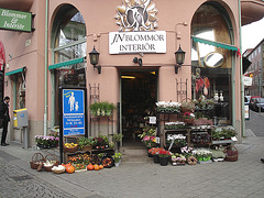 Carrefour floral à la suédoise / JN Blommor interiör -  Helsingborg  /  Suède - Sweden.  22 octobre 2008