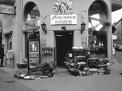 - Carrefour floral à la suédoise / JN Blommor interiör -  Helsingborg  /  Suède - Sweden.  22 octobre 2008 Noir et blanc