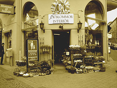 - Carrefour floral à la suédoise / JN Blommor interiör -  Helsingborg  /  Suède - Sweden.  22 octobre 2008 Sepia