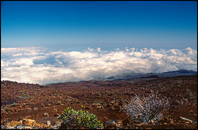 Haleakala - above clouds