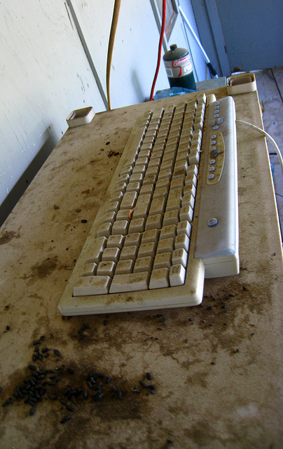 Keyboard (2579)
