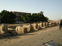 Sphingenallee in Luxor