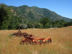 Old Farm Equipment (2671)